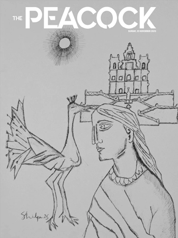 The Peacock - 23-11-2025 image